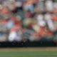 Illustration for article titled Giants And Diamondbacks Wait Out 41-Minute Bee Delay